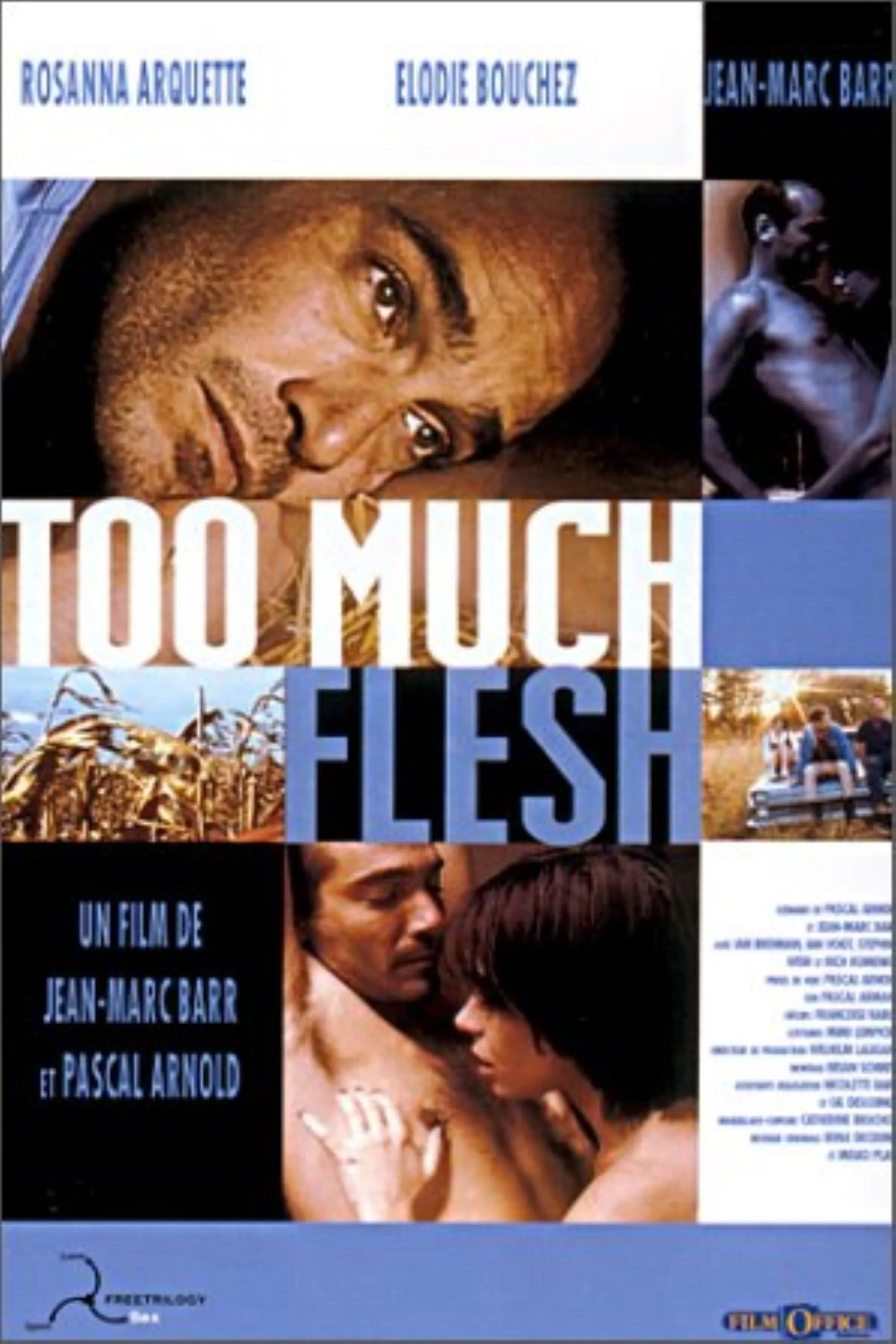 Too Much Flesh poster