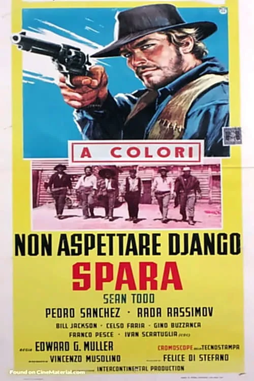 Non aspettare Django spara poster