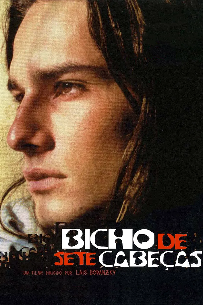 Bicho de Sete Cabeças poster