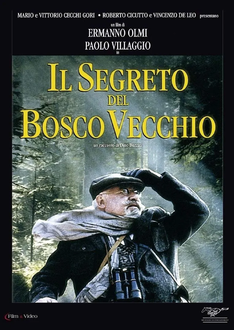 Il segrato del Bosco Vecchio poster