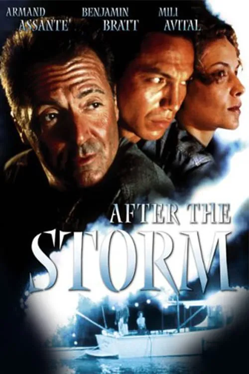 After the storm poster