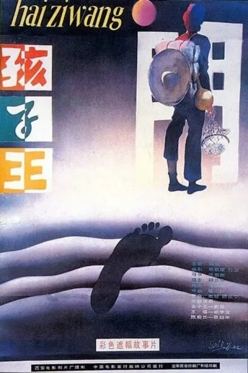Haizi Wang poster