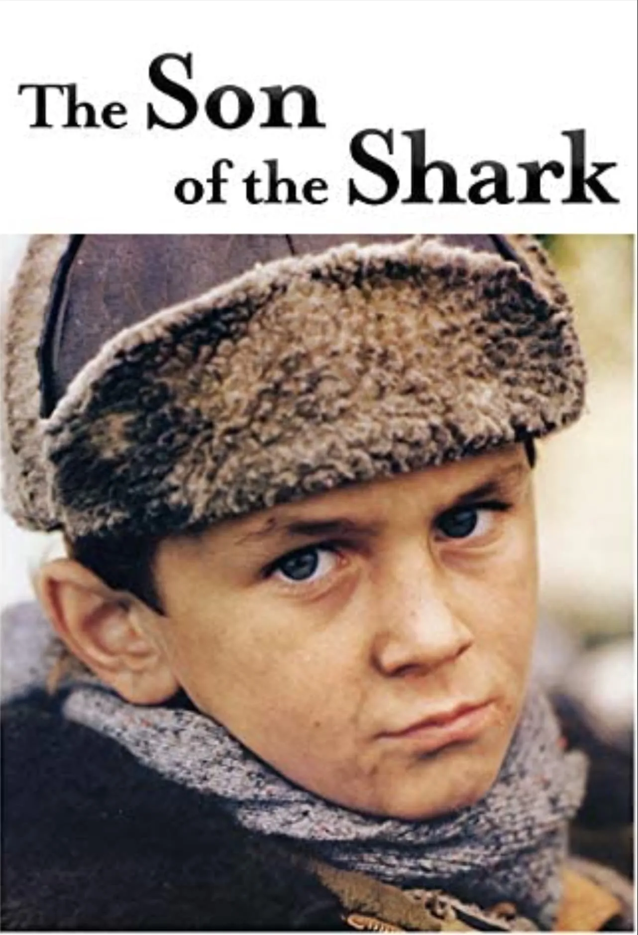 Le fils du requin poster