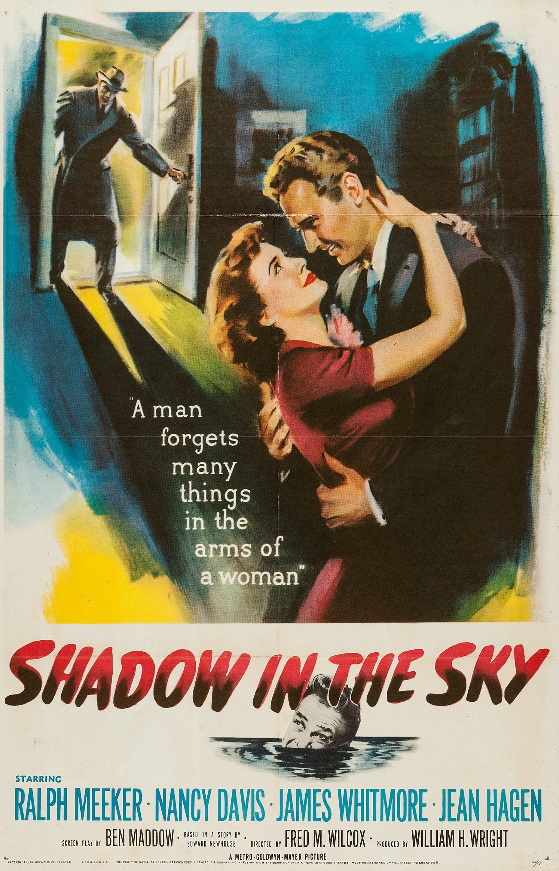 Shadow in the Sky poster