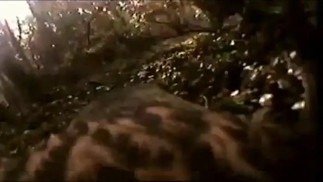 Avtovaz – Hightide Lowtide