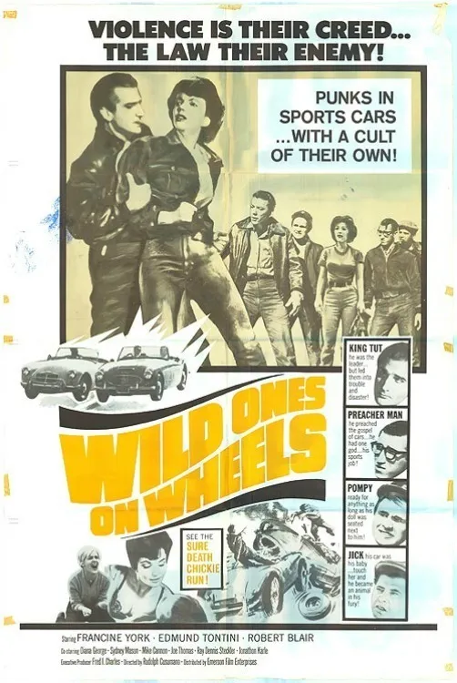 Wild Ones On Wheels poster