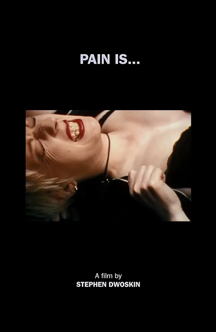 Pain Is... poster