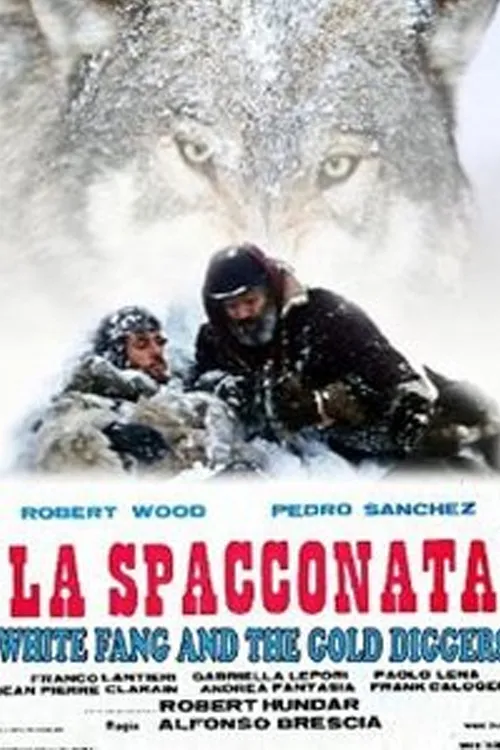 La Spacconata poster