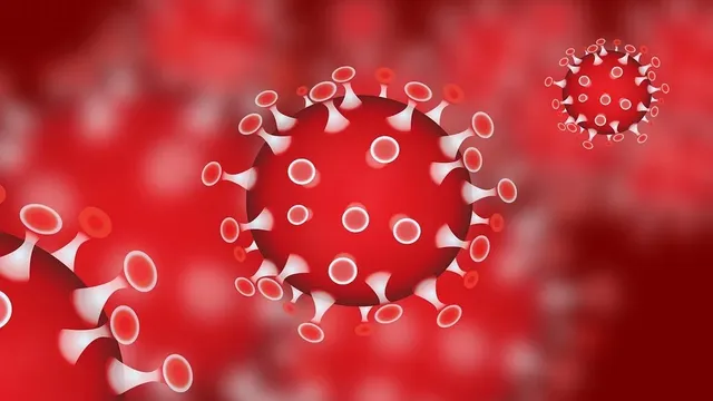 Coronavirus