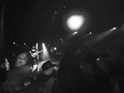 Kaboutertje Putlucht