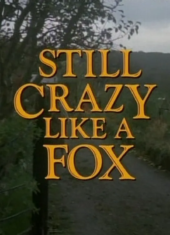 Still Crazy like a Fox poster