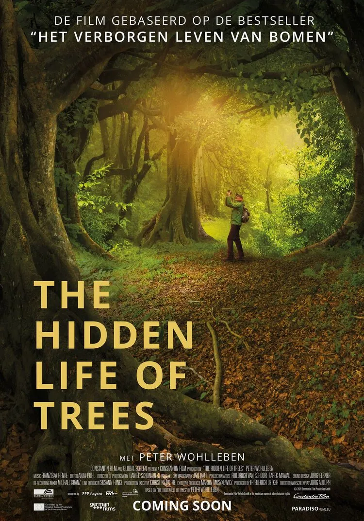 The Hidden Life of Trees poster