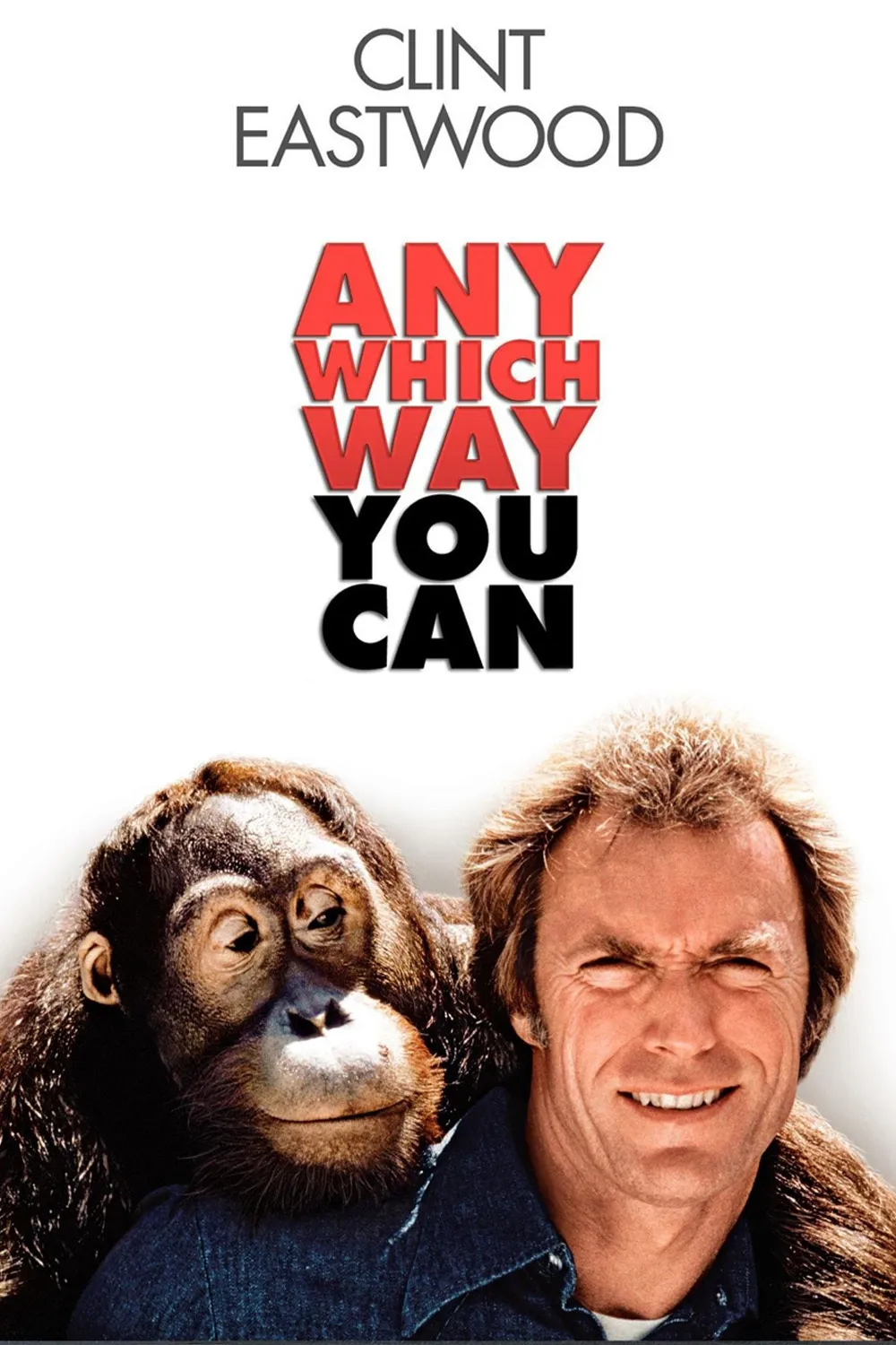 Any Which Way You Can poster