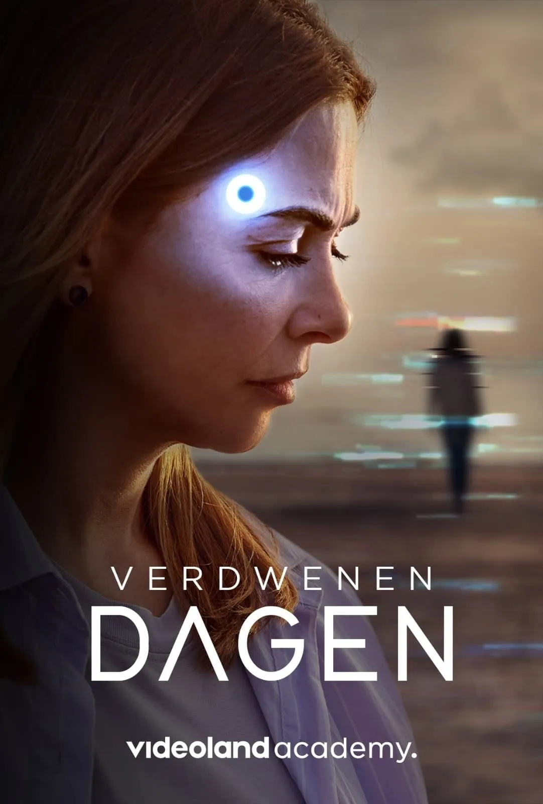 Verdwenen Dagen poster