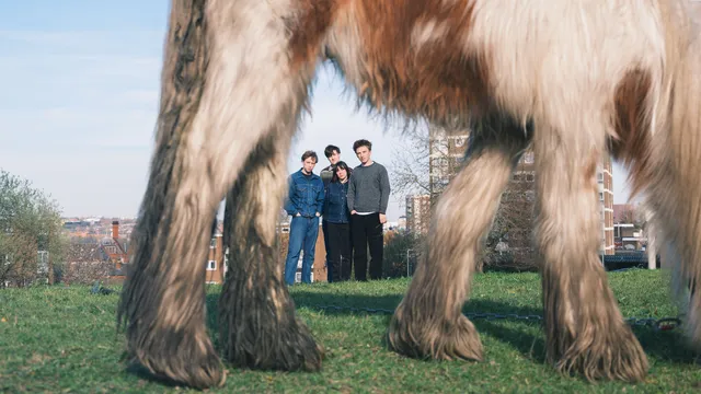Onder een paard door gefotografeerd staat de band in een grasveld