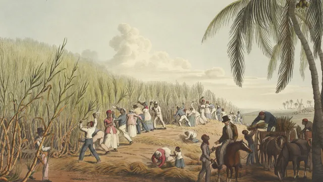 Afbeelding van slaven op een suikerplantage