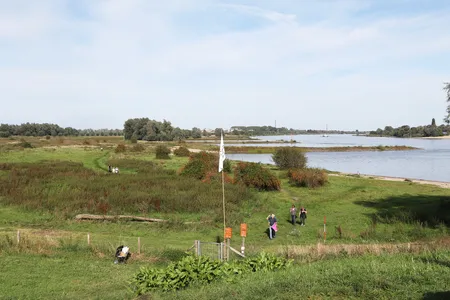 Festival de Oversteek 2023