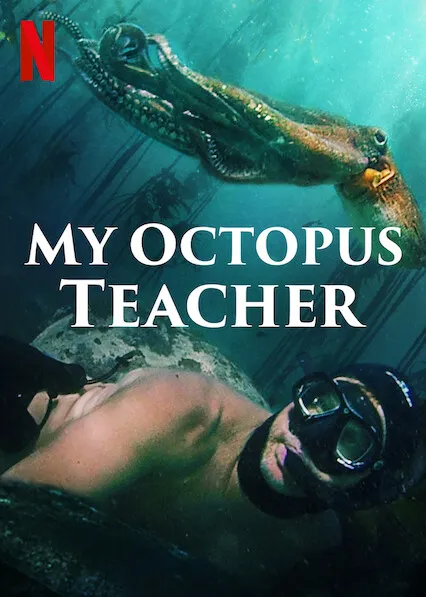 My Octopus Teacher poster