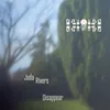 Artwork Juda Rivers Cover Disappear