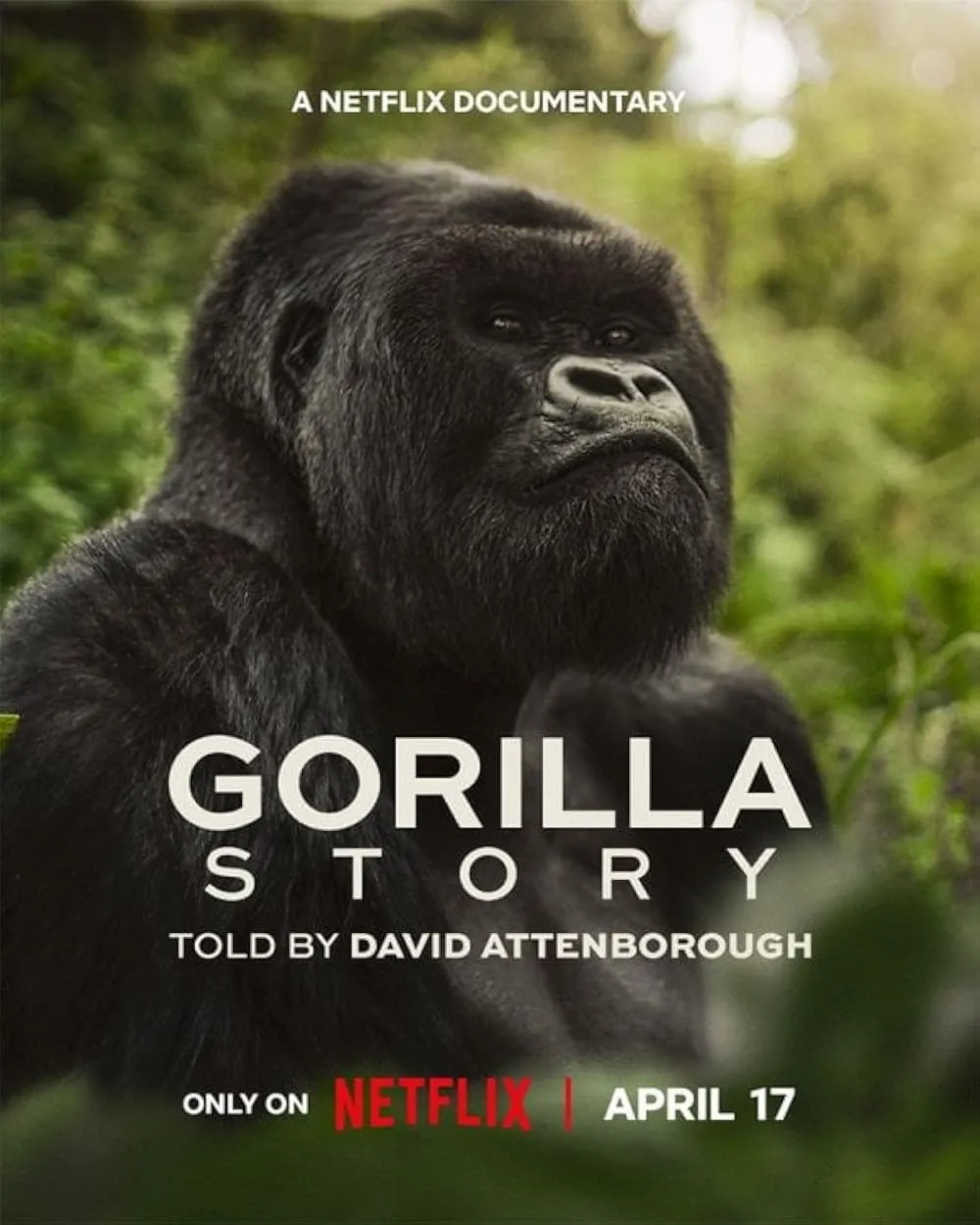A Gorilla Story: Told by David Attenborough poster