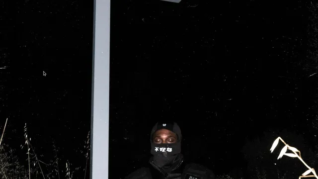 JPEGMAFIA cover 2024