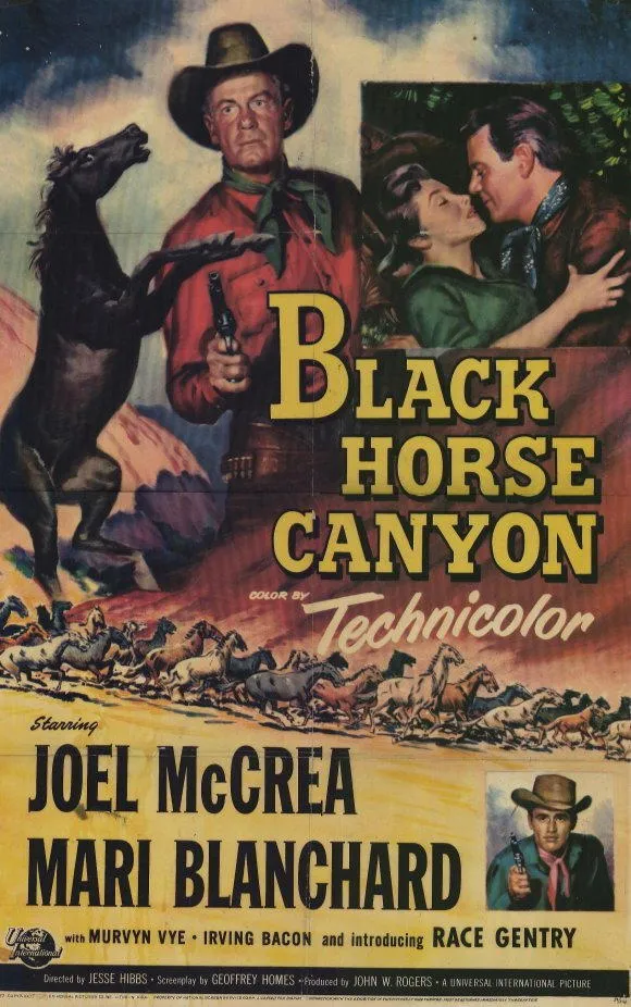 Black Horse Canyon poster