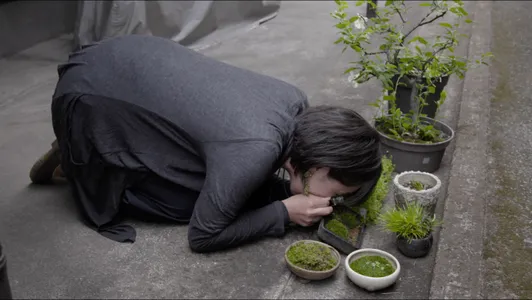 Mosliefhebber in actie