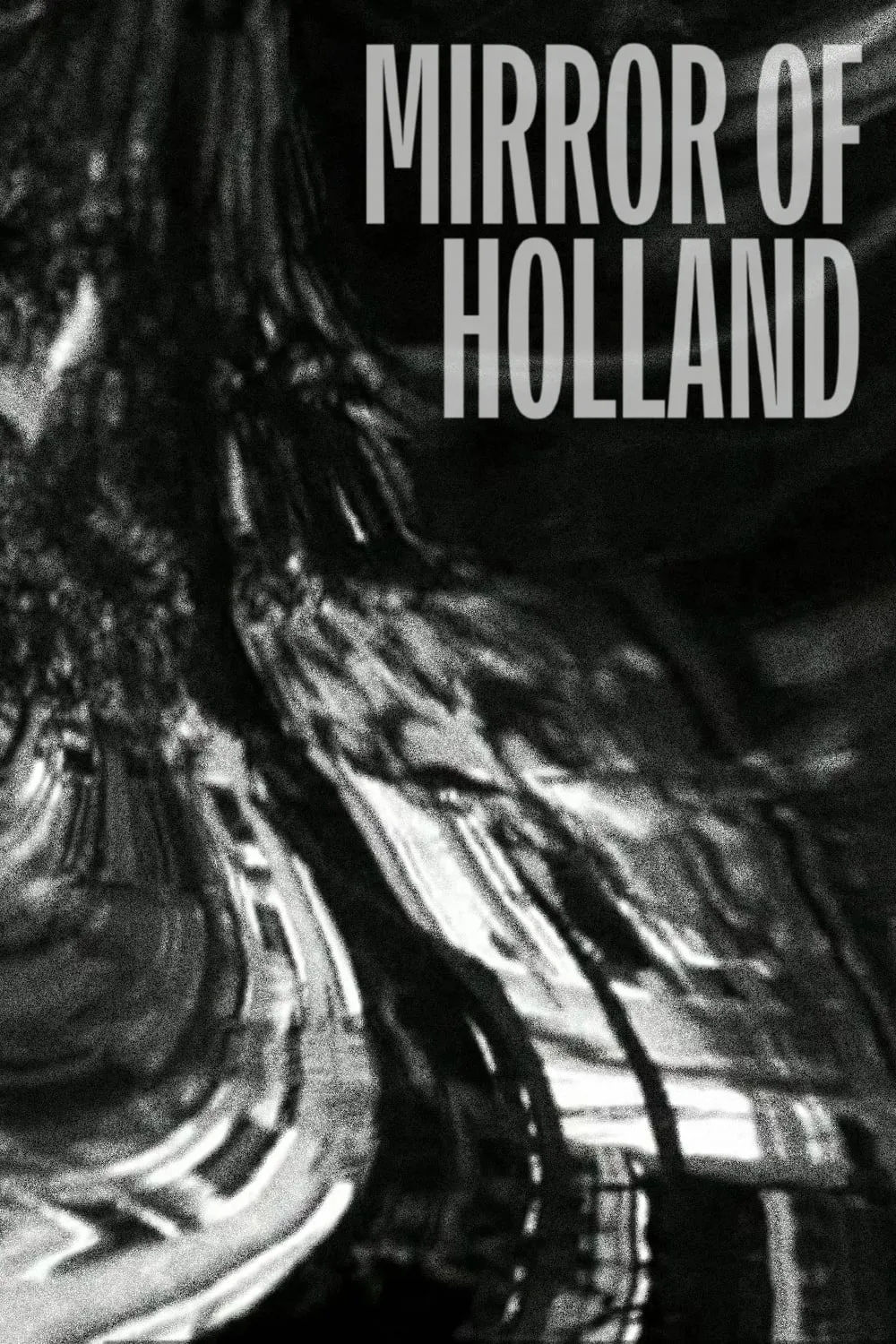 Spiegel van Holland poster