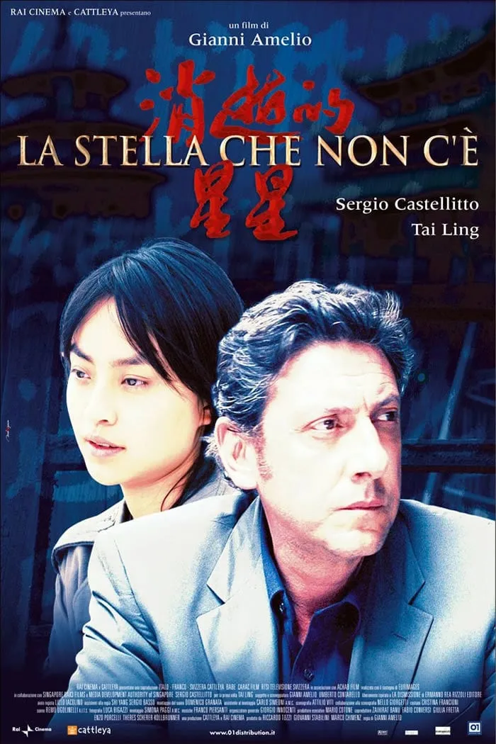 La Stella che non c'è poster