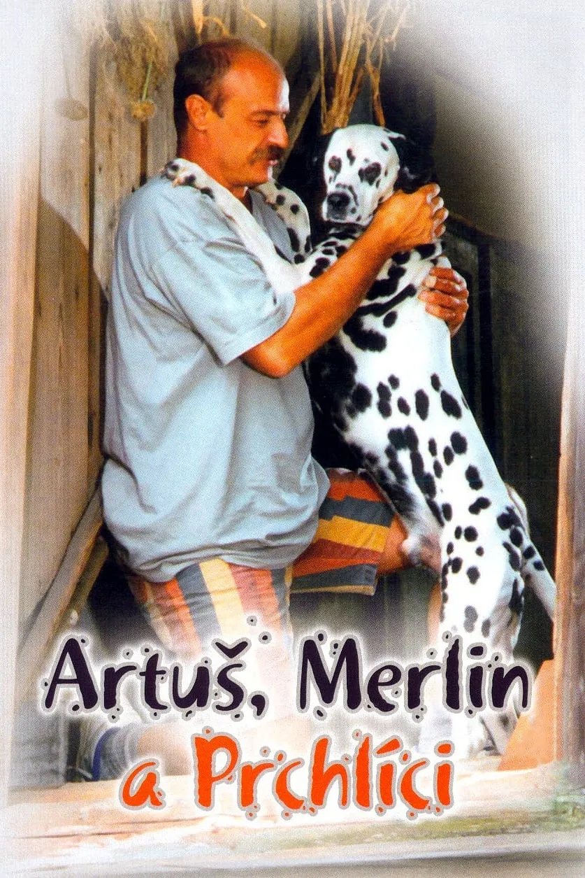 Artus, Merlin a Prchlici poster