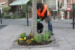 Guerrilla Gardening in Utrecht