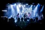 Alkmaar Plugged