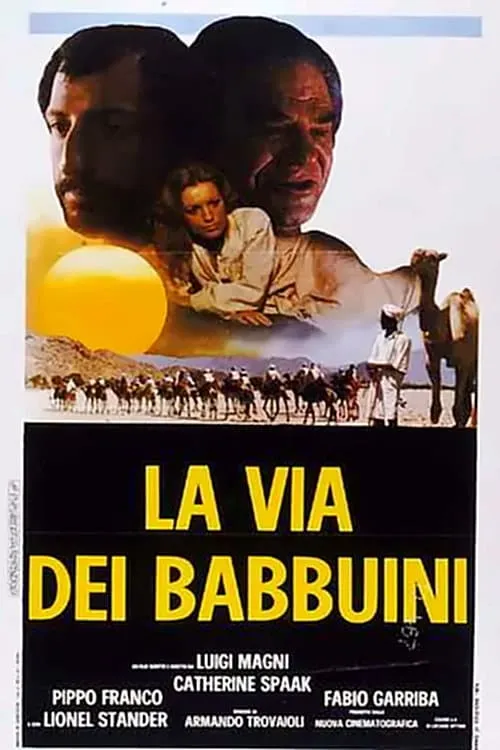 La via dei babbuini poster