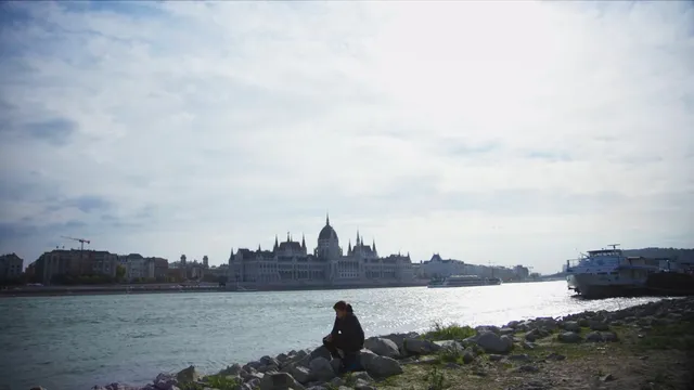 The Hungarian Playbook