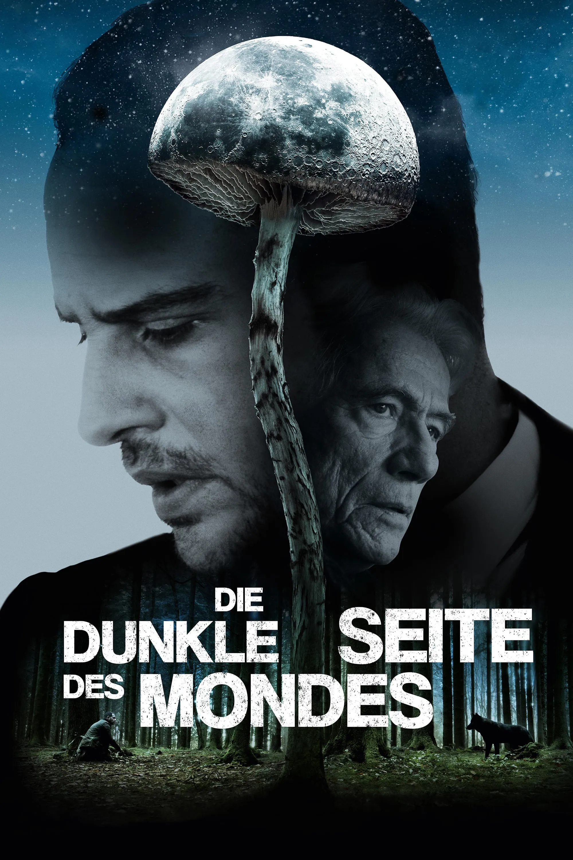 Die dunkle Seite des Mondes poster