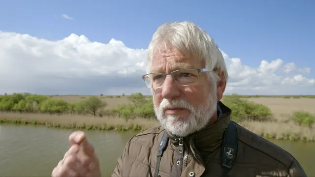 Frans Vera