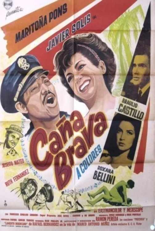 Caña brava poster