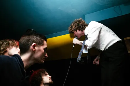 Grote Geelstaart bij Cat's Cult