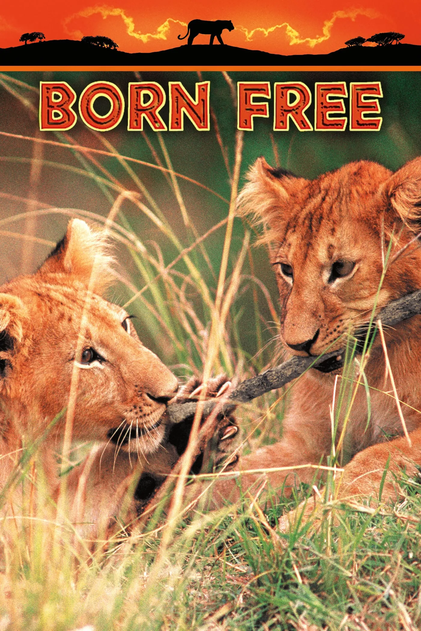 Born Free poster