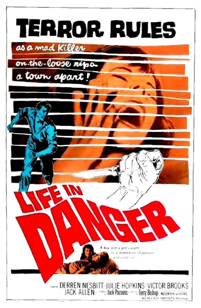Life in Danger poster