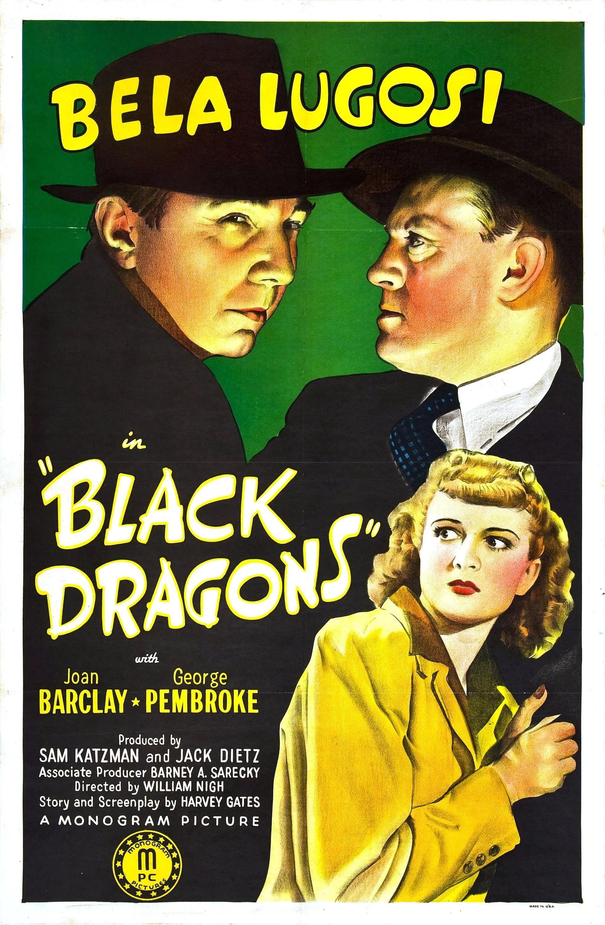 Black Dragons poster
