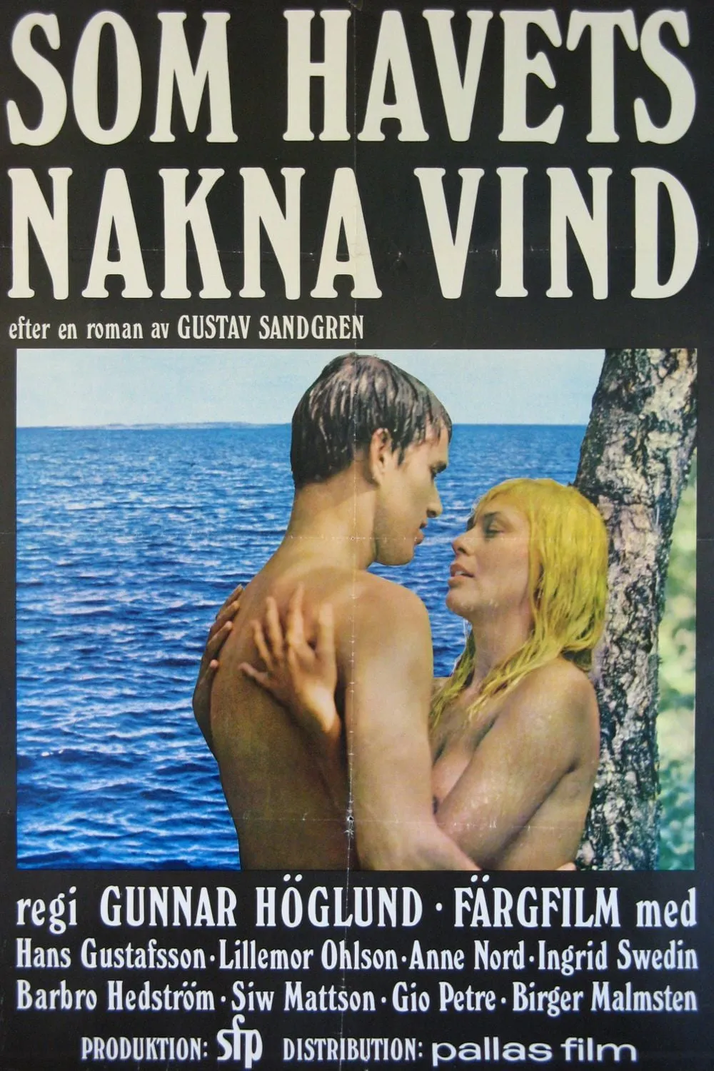 Som havets nakna vind poster