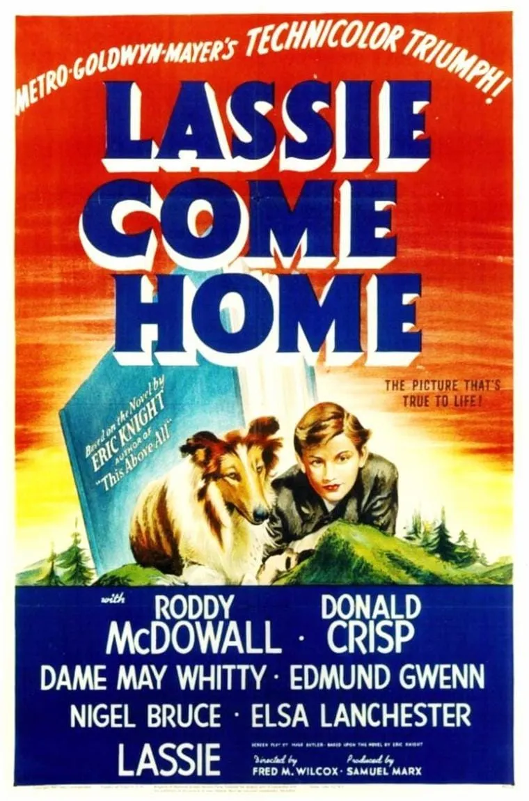 Lassie Come Home poster