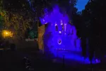 Vierdaagsefeesten 2026