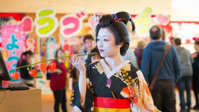 Camera Japan Festival 2014