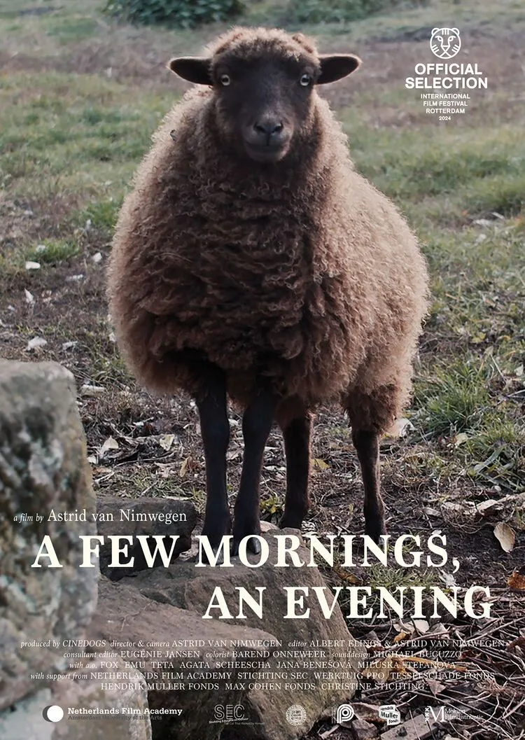 A Few Mornings, an Evening poster