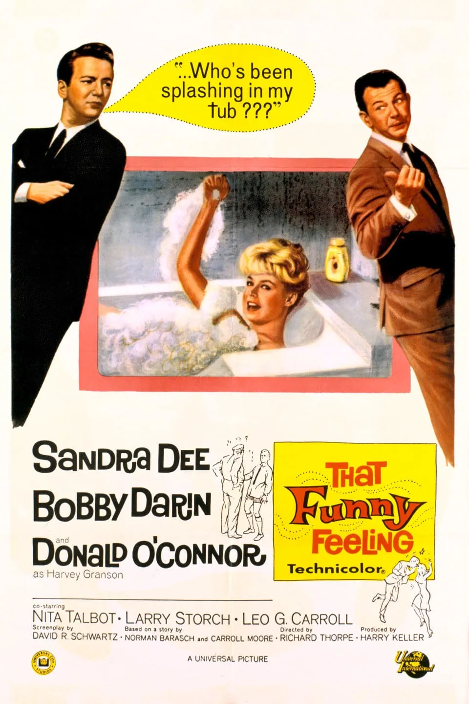 That Funny Feeling poster