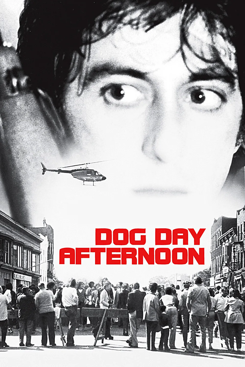 Dog Day Afternoon poster