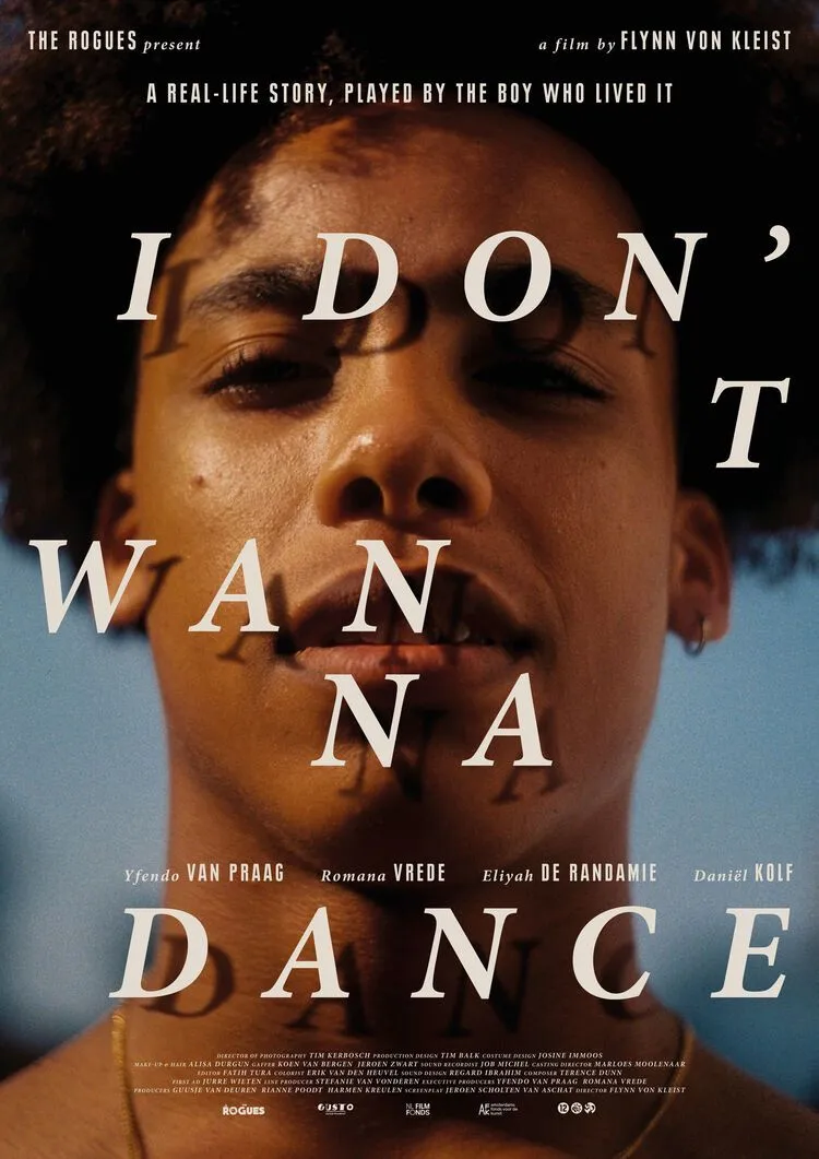 I Don't Wanna Dance poster