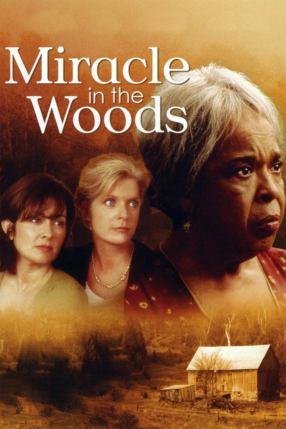Miracle In The Woods poster